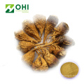 Maca Root Extract Macaenes Powder